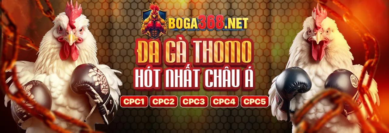 Đá Gà Trực Tuyến Đỉnh Cao tại SP666 App